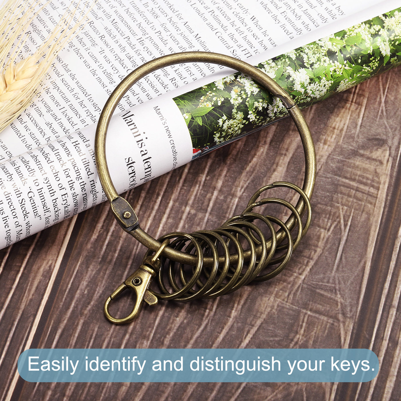 Harfington 3.2 Inch Dia Key Organizer Keychain, 1pcs Key Management Holder with 10 Keys Rings for Office, Bronze