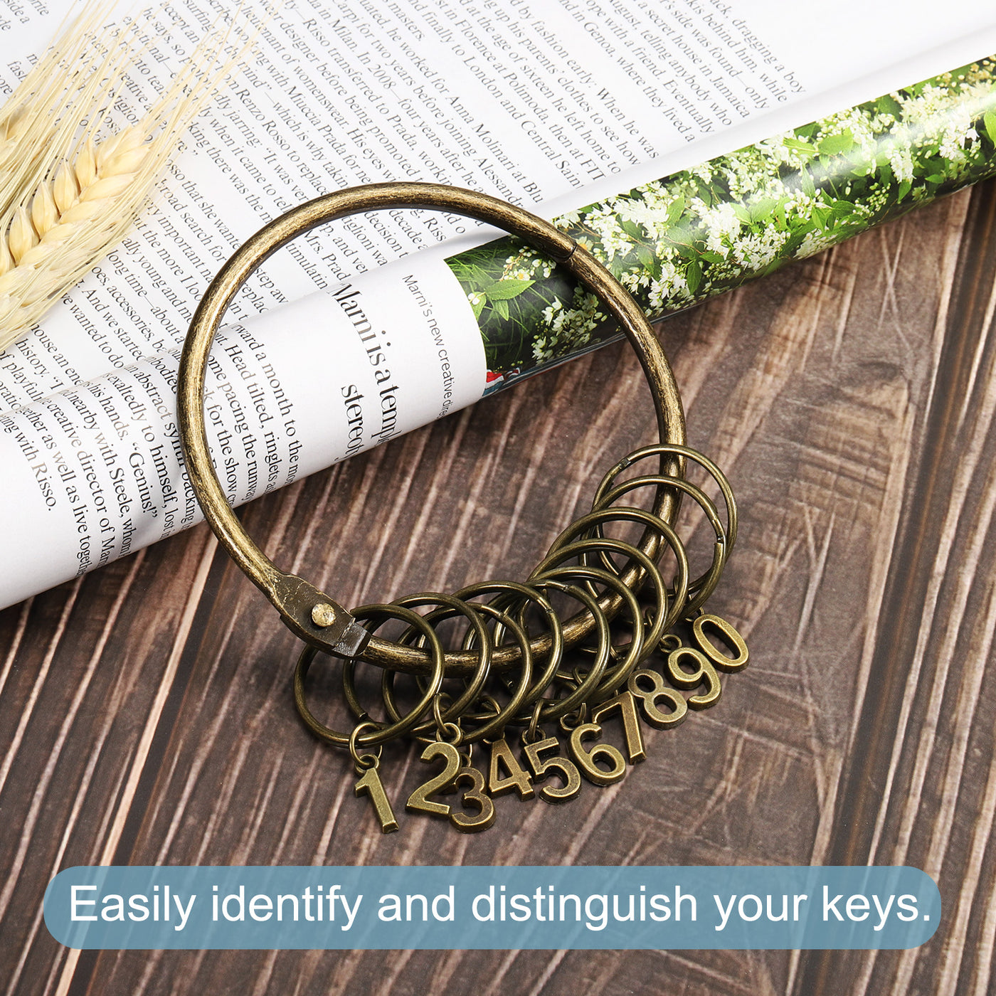 Harfington 3.4 Inch Dia Key Organizer Keychain, 1pcs Key Management Holder with 10 Digits Key Rings for Office, Bronze