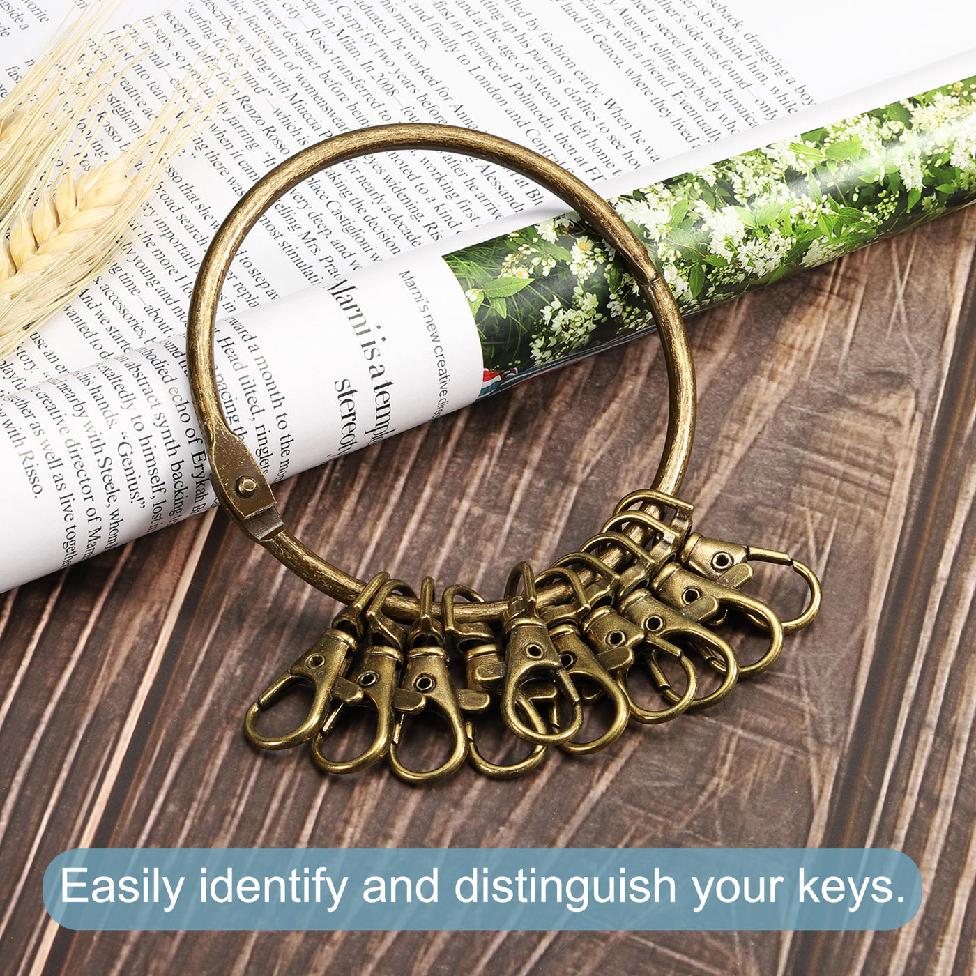 Harfington 3.4" Dia Key Organizer Schlüsselanhänger, 1pcs Key Management Halter mit 10 Schnalle Ring für Büro, Bronze